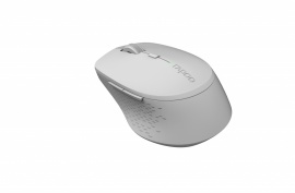 Rapoo M300 Silent Ratón Gris oscuro Multi-Mode