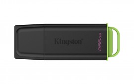 Kingston Technology DataTraveler 256GB Portátil USB 3.2 Gen 1 Exodia Negro + Verde